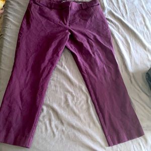 Loft pants color eggplant size 14